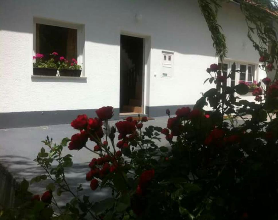 Guest House First Stop Rakovica Esterno foto